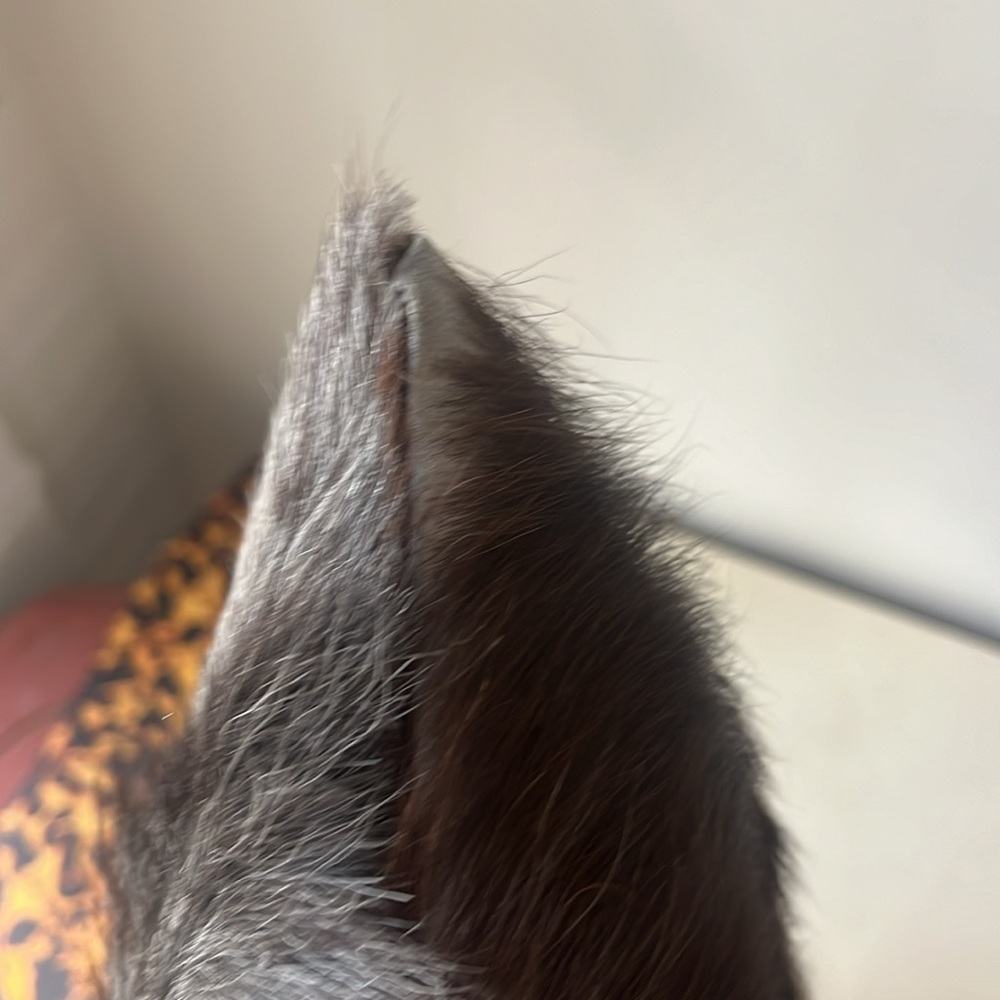 •⬇️FINAL PRICE⬇️NO OFFERS FIRM⬇️VINTAGE GENUINE FUR BAG BOHO FESTIVAL• - Picture 6 of 15